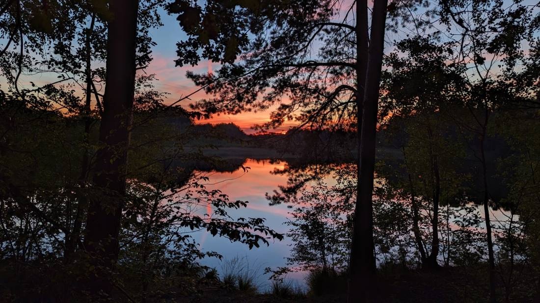 Wildwood Camping — Kamp yeri in Südheide