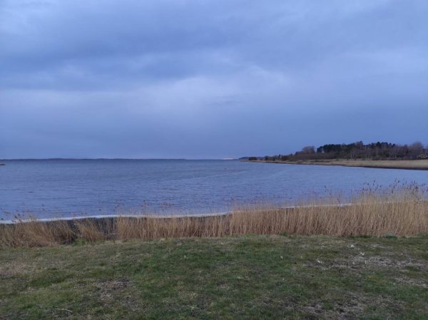 Frederiksværk Lystbådehavn — Photo 4