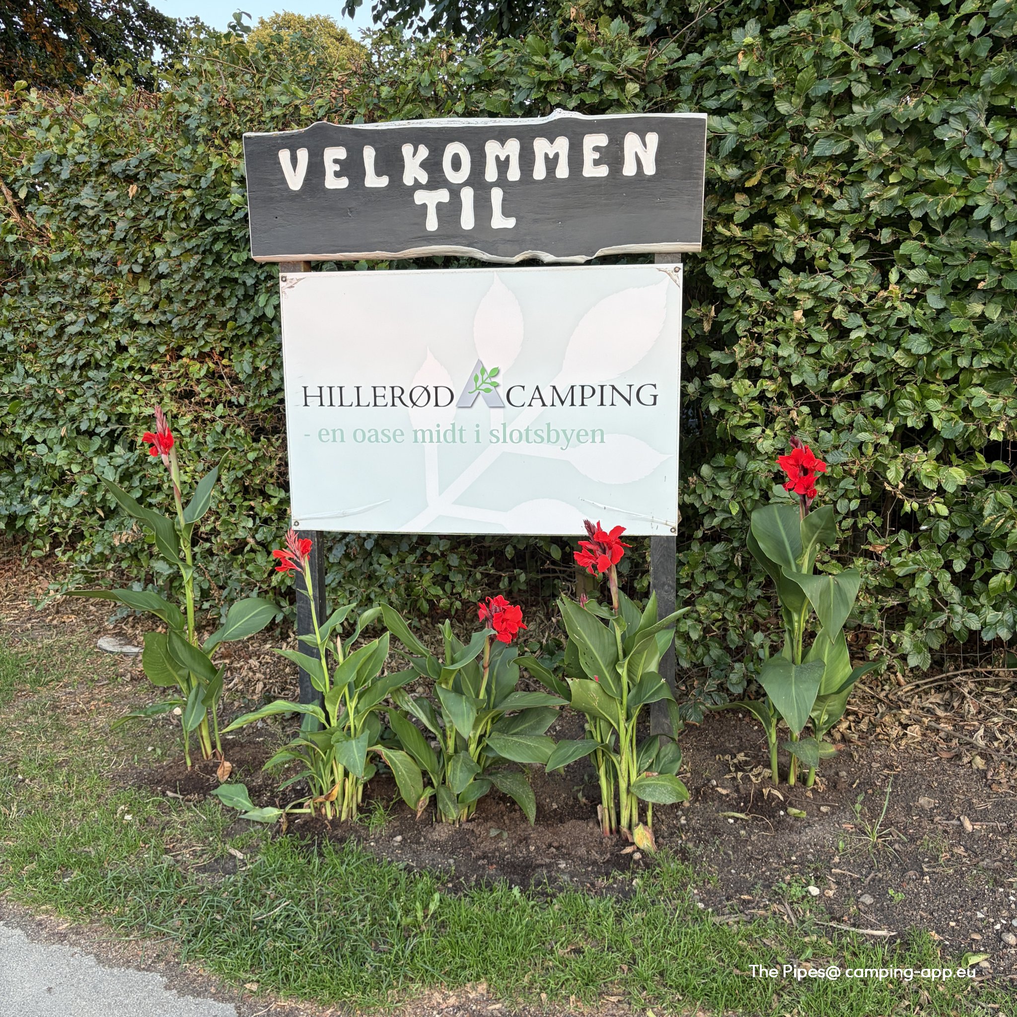 Hillerød Camping — Fotoğraf 2