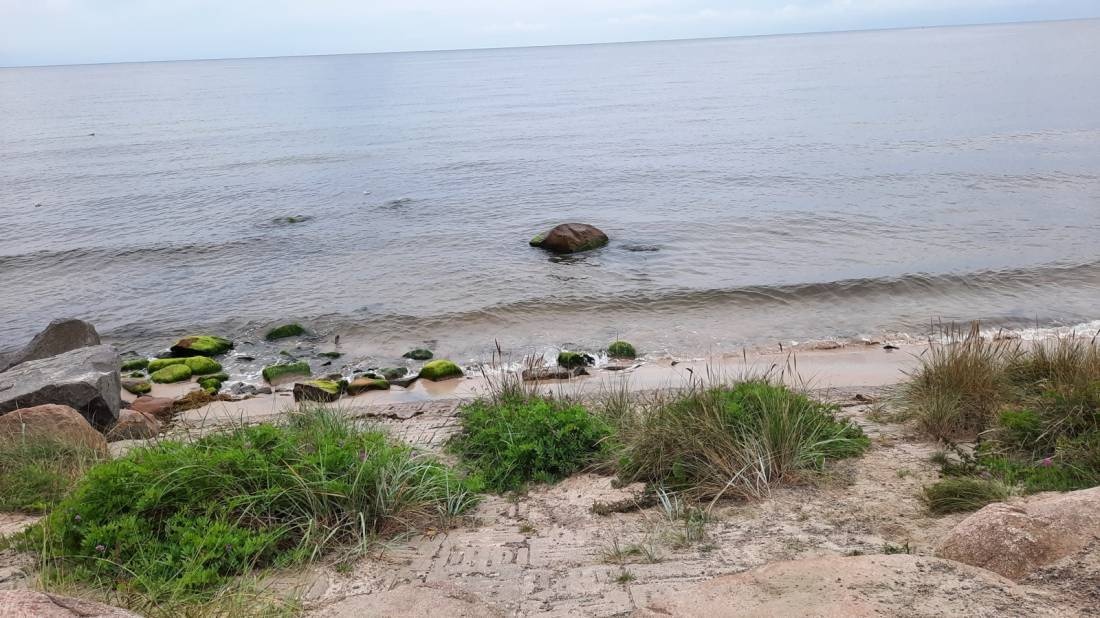 Galløkken Strand Camping — Campingplatz in Rønne