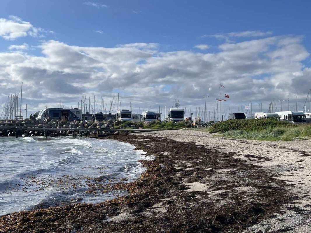 Korsør Marina — Area di sosta in Korsør