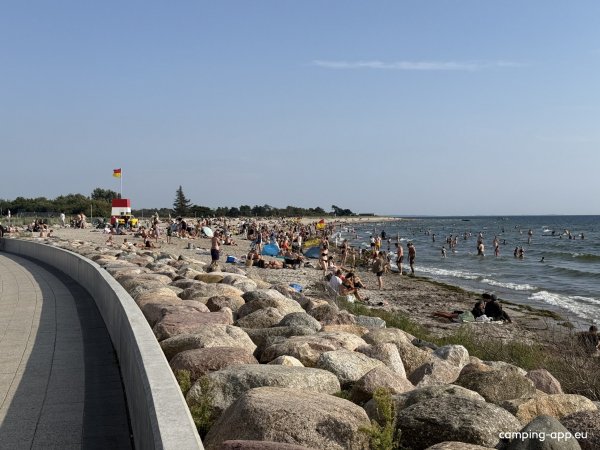 Næstved Sejlklub — Photo 4