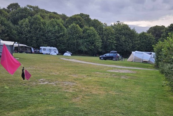 Camping Møns Klint — Photo 5