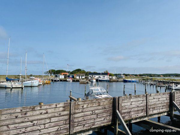 Tårs Havn Lolland — Photo 6