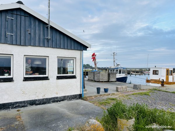 Tårs Havn Lolland — Photo 5