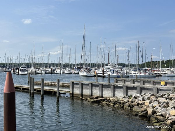 Middelfart Lystbådehavn / Marina — Foto 2