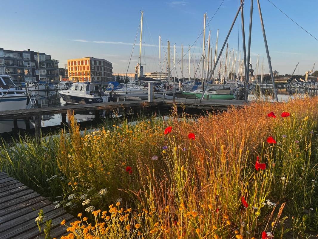 Stellplatz am Segelclub Haderslev — Area Autocaravanas in Haderslev