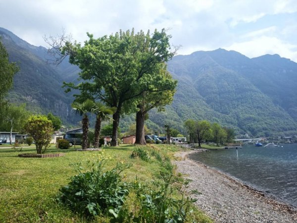 Camping Paradiso — Foto 3