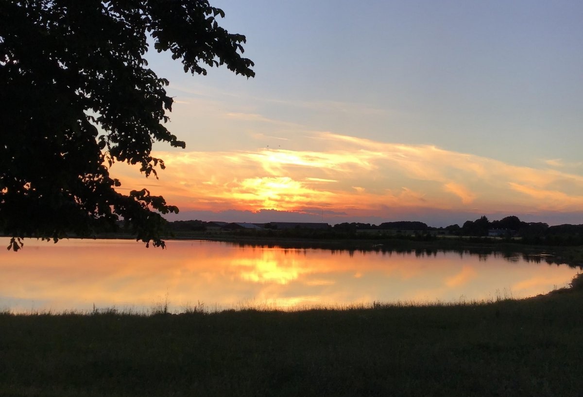 Stellplads Green — Kemp in Tinglev