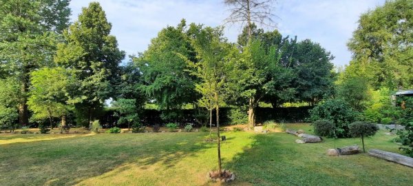 Campingplatz Roland — Photo 2