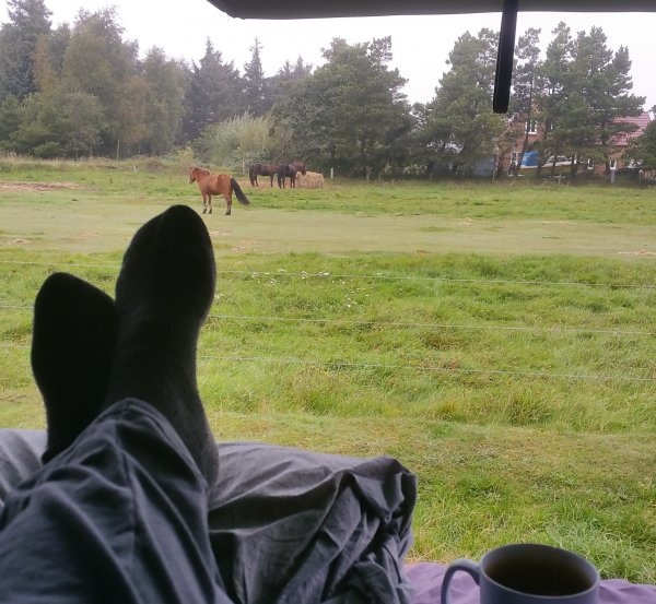 Sønderho ny Camping Fanø/Sønderho — Area da campeggio in Fanø