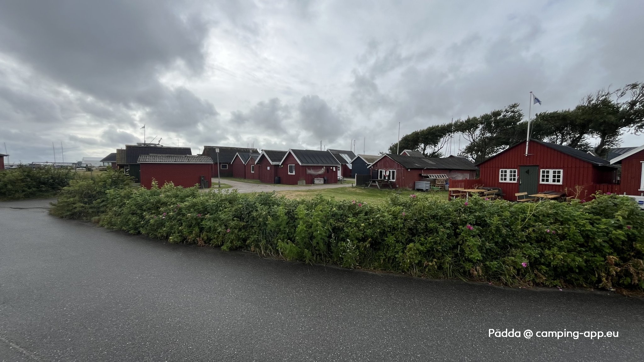 Stellplatz am Hafen Ringkøbing — Foto 2