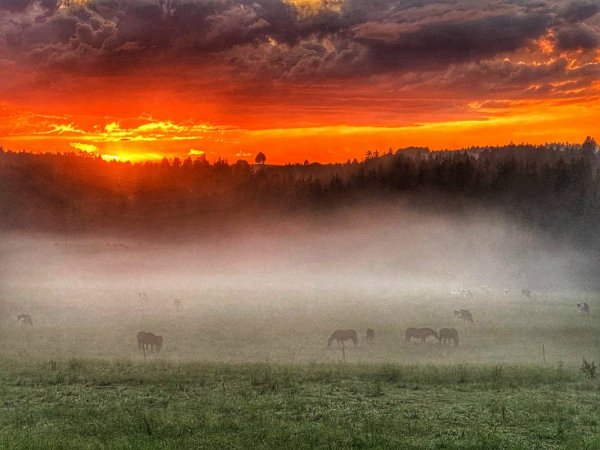 Camping Les Cerneux — Photo 4