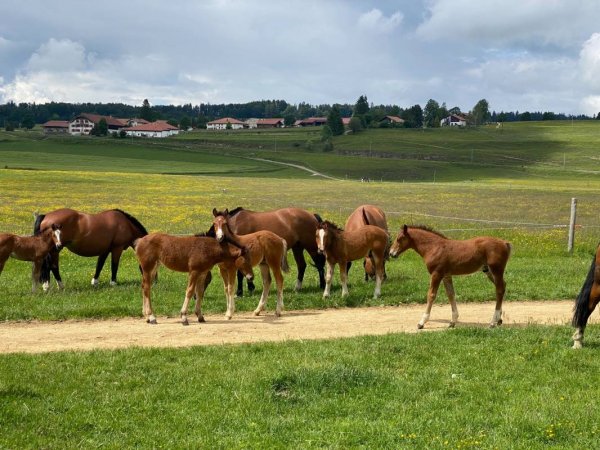 Camping Les Cerneux — Photo 2