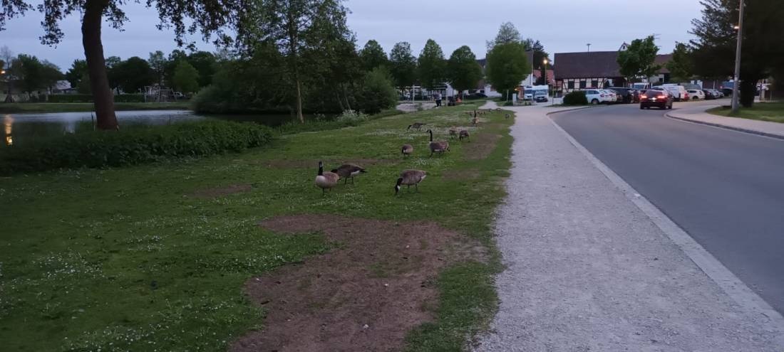 Parkplatz Bürgerweiher — Sp. parking dla kamperów in Schnaittach