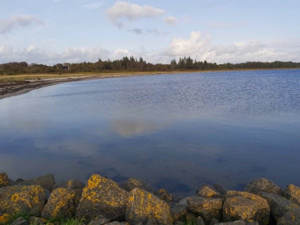 Stellplatz am Hafen Amtoft
