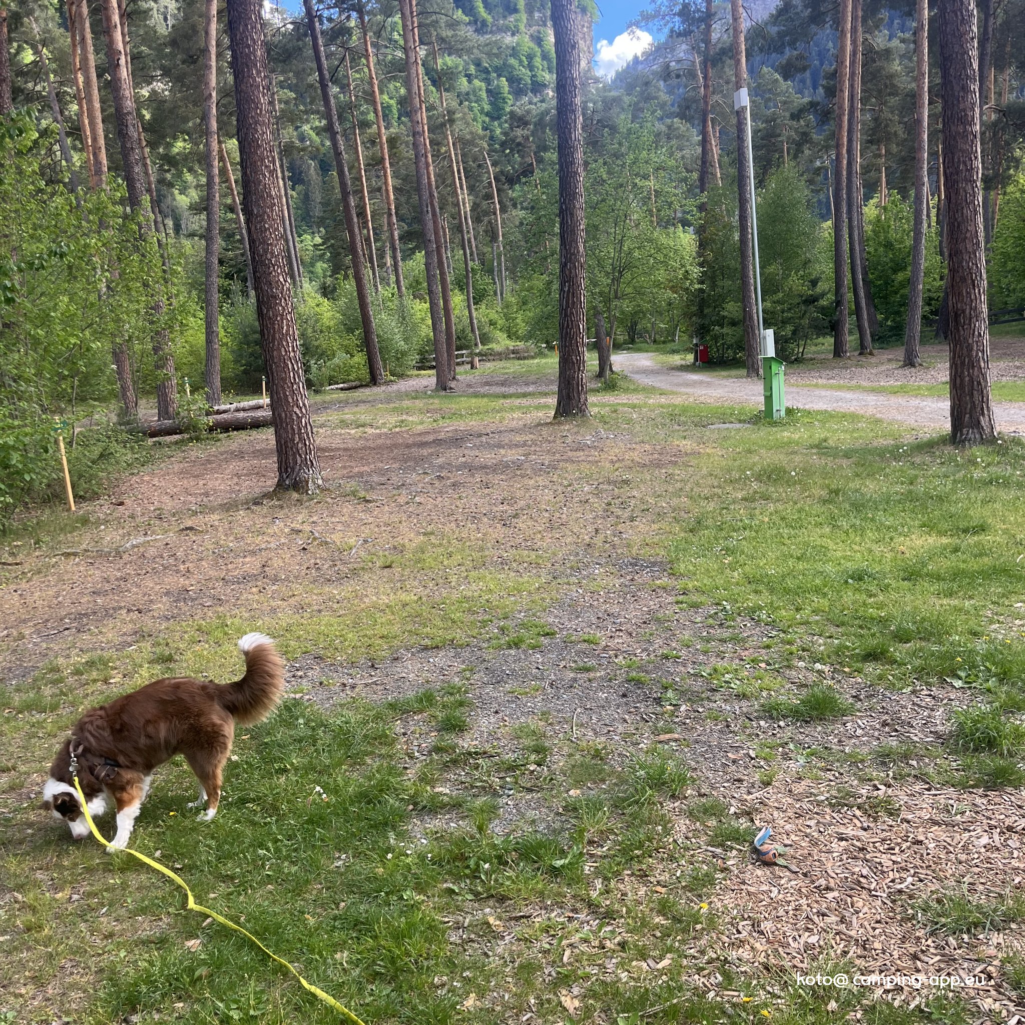 TCS Camping Thusis-Viamala — Foto 2