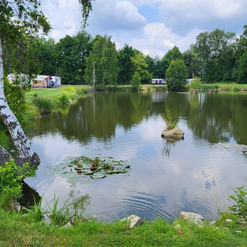 Pole Biwakowe — Campingplass in Dominikowo