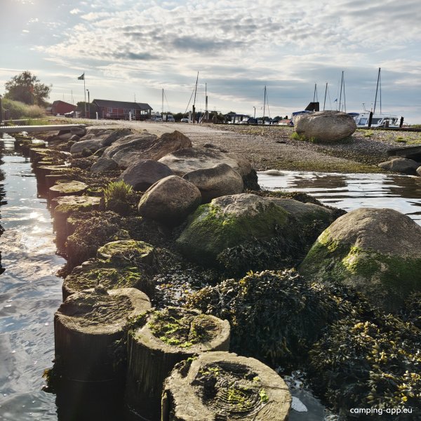 Hafen Mellerup — Photo 6