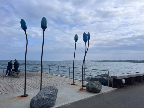 Sæby Havnen (22.00 - 9.00) — Photo 6