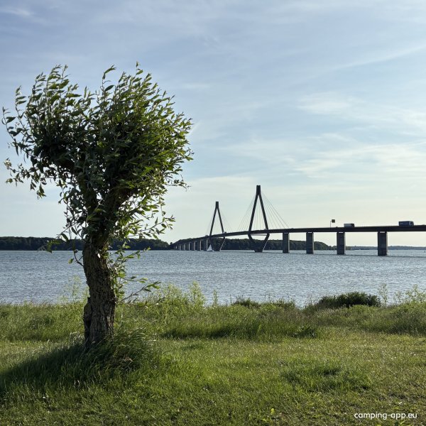 Stellplatz Farø — Photo 4