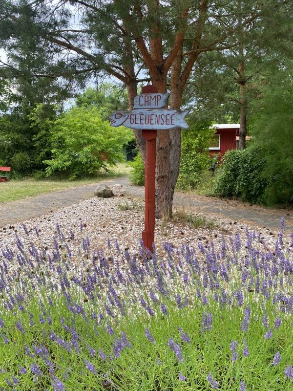 Naturcamp Gleuensee — Kamp yeri in Templin