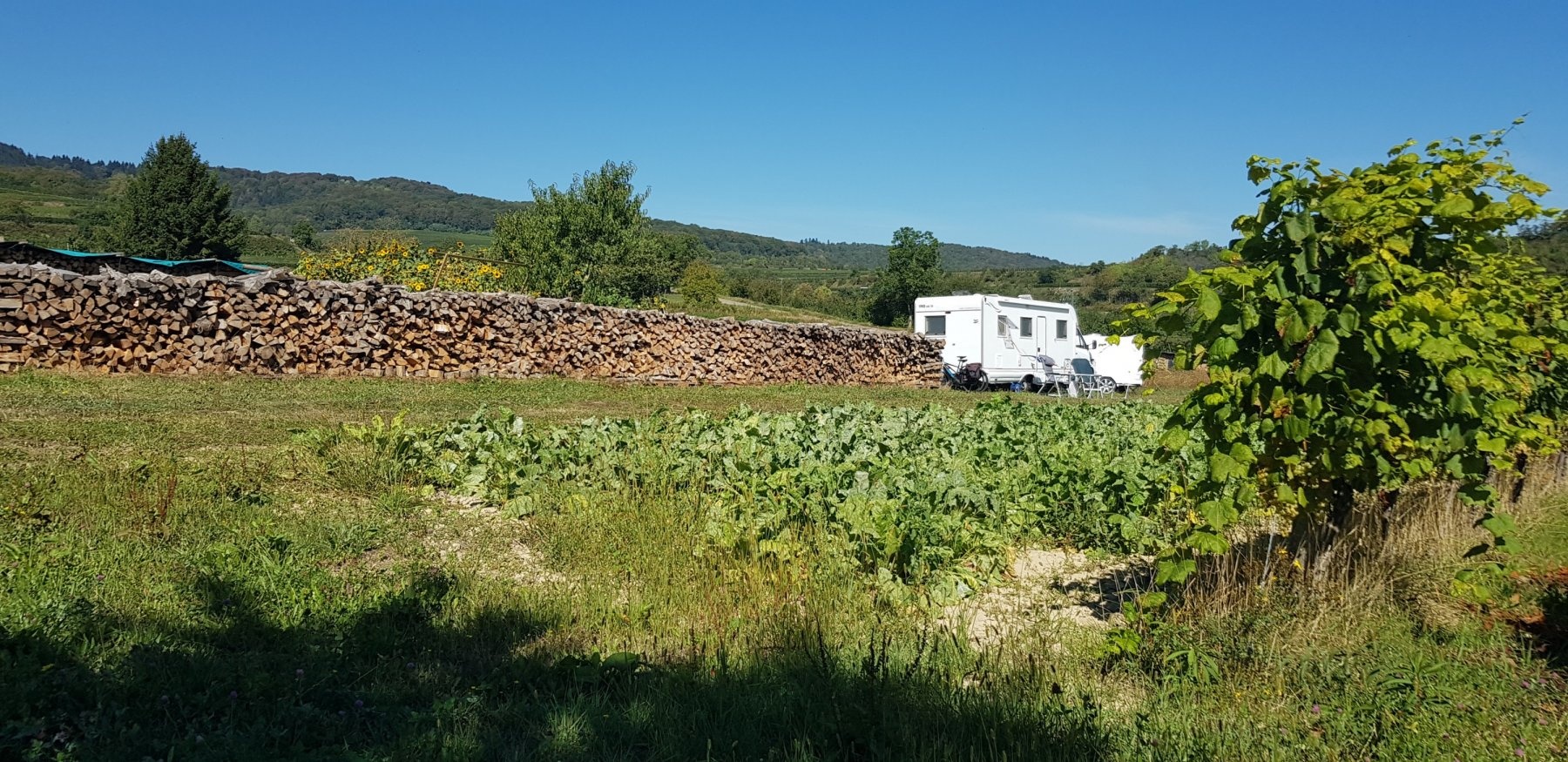 Stellplatz Ritters Weinstube Kenzingen — Area Autocaravanas in Kenzingen