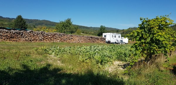 Stellplatz Ritters Weinstube Kenzingen