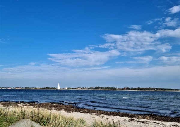 Aarøsund Lystbådehavn — Photo 4