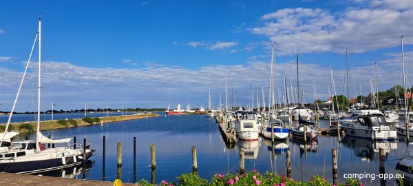 Aarøsund Lystbådehavn — Foto 6