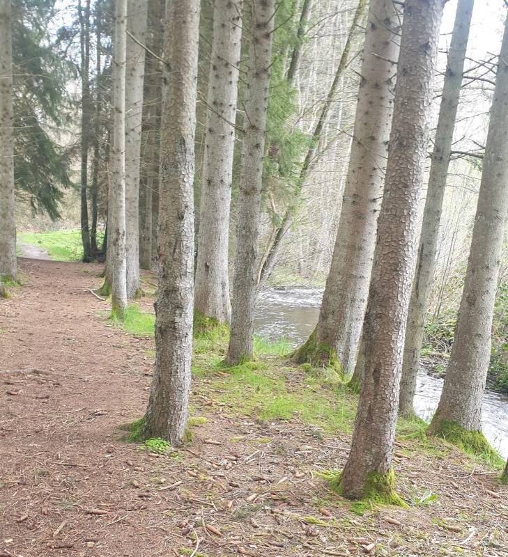 Campingplatz Sensweiler Mühle — Kemp in Sensweiler