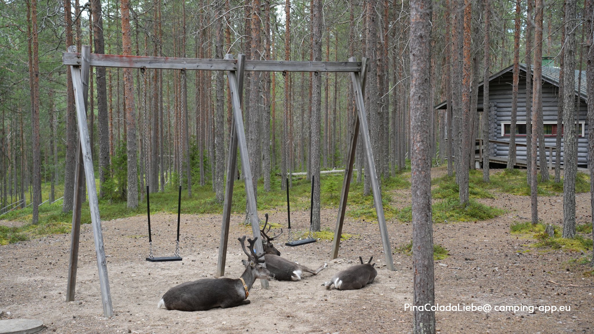 Oulangan kansallispuiston leirintäalue — Foto 3