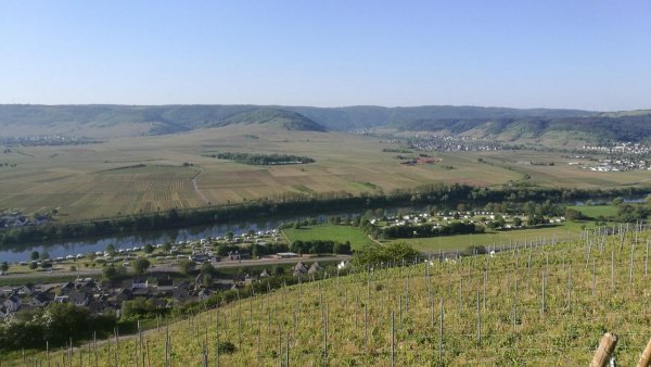 Reisemobilpark Klüsserath — Photo 3