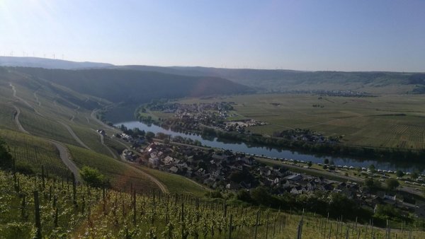 Reisemobilpark Klüsserath — Photo 4