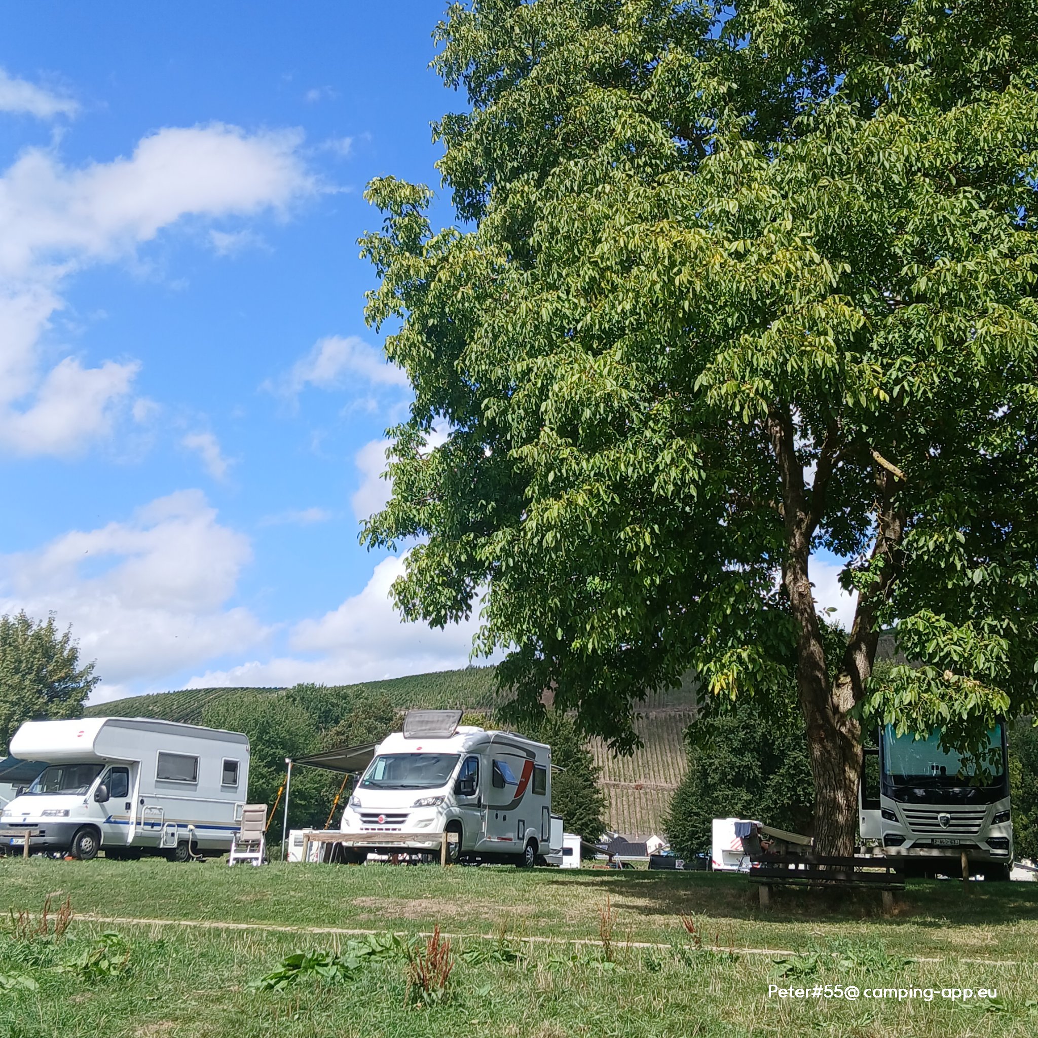 Reisemobilpark Klüsserath — Foto 3
