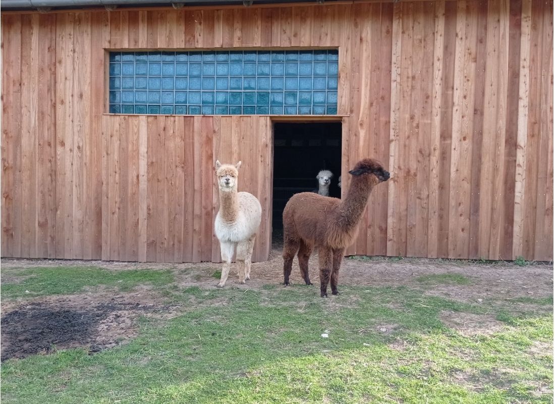 Stellplatz Camping am Werra Radweg — Campingplads in Eisfeld