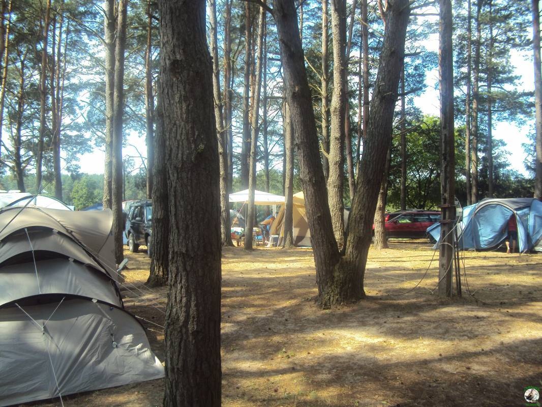 Camping U Basi — Cámping in Jaśkowo