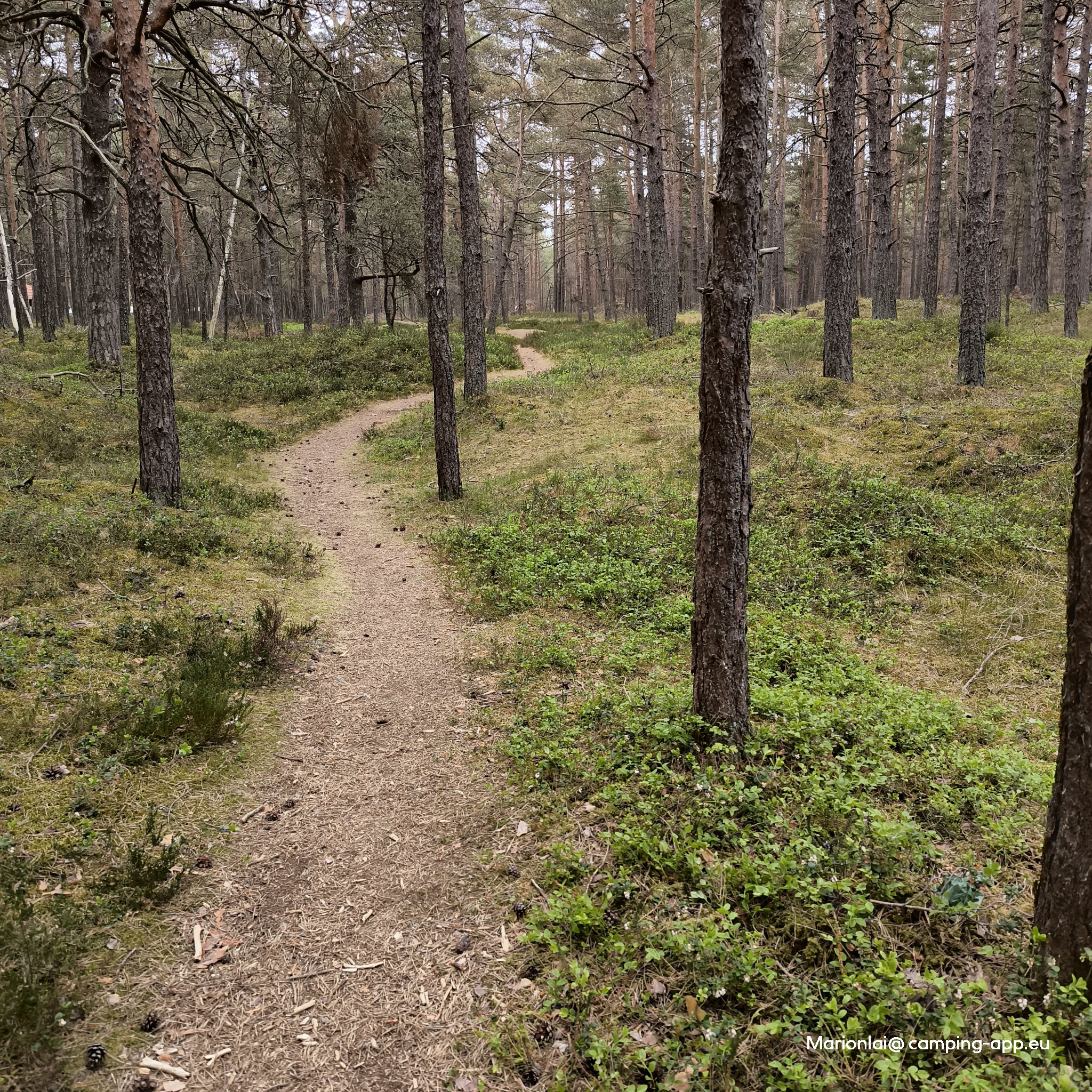Camping Navigator — Photo 4