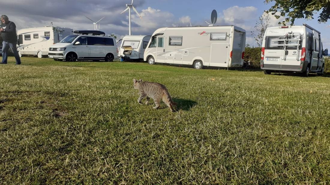 Camper-Park — Kamp yeri in Kopan