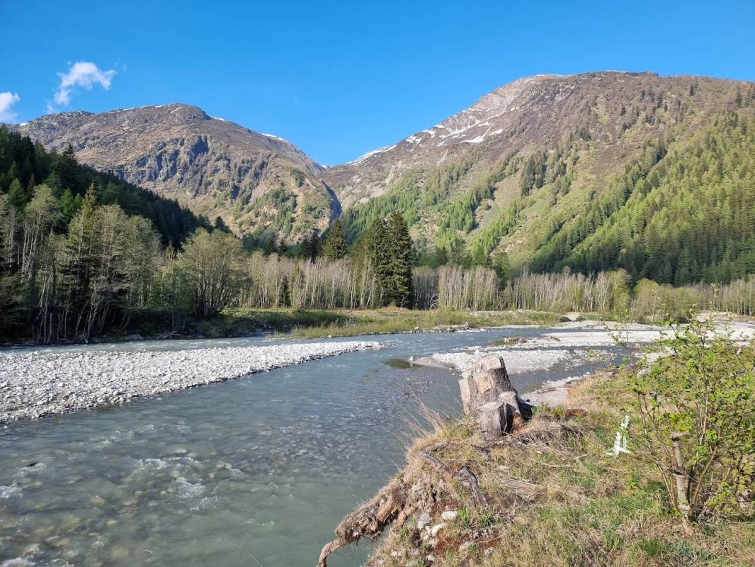 Forest Lodge & Camping — Campingplats in Obergoms VS