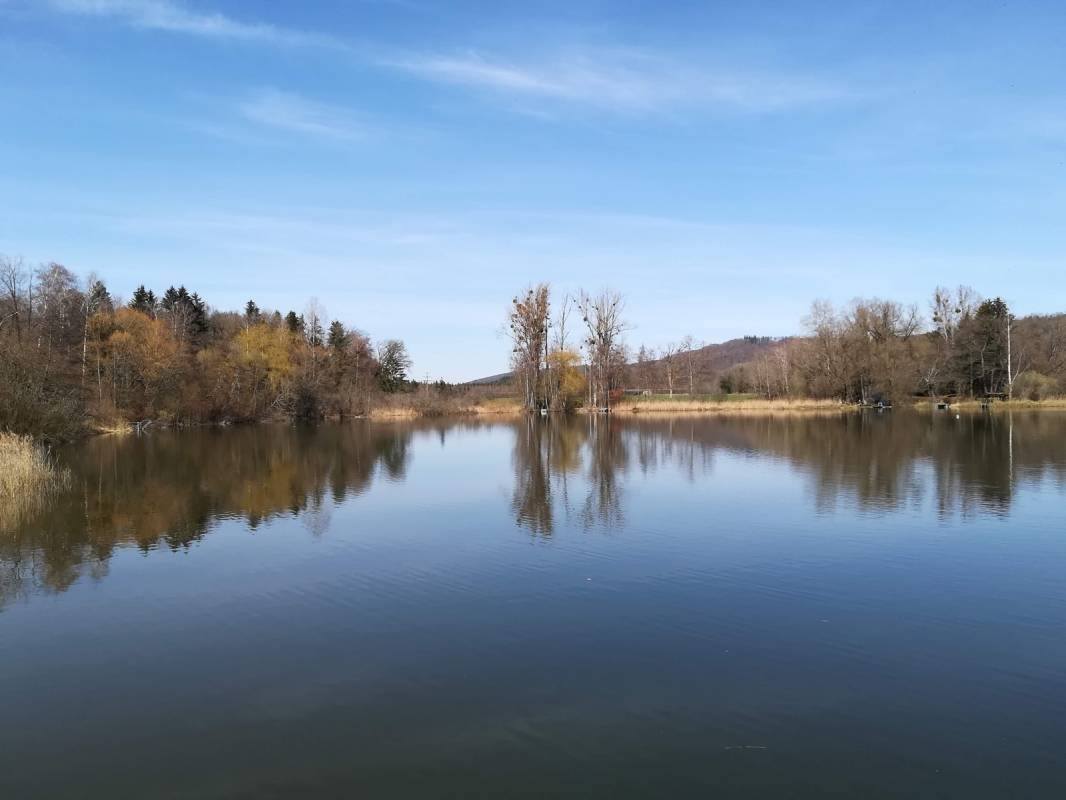 Campingplatz Böhringen — 露营车营地 in Radolfzell am Bodensee