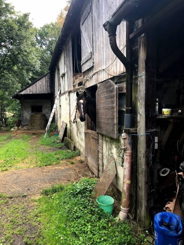 Campingplatz Oberes Idartal — Kemp in Sensweiler