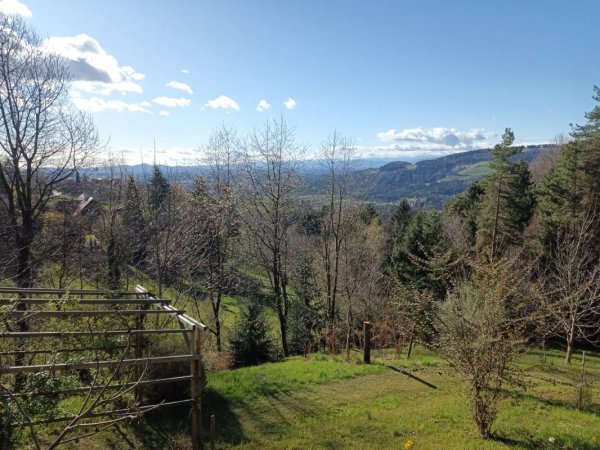 Stellplatz Greisdorf