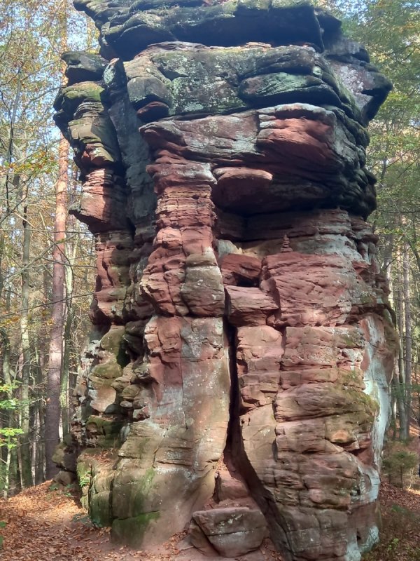 Campingplatz Neudahner Weiher — Photo 4