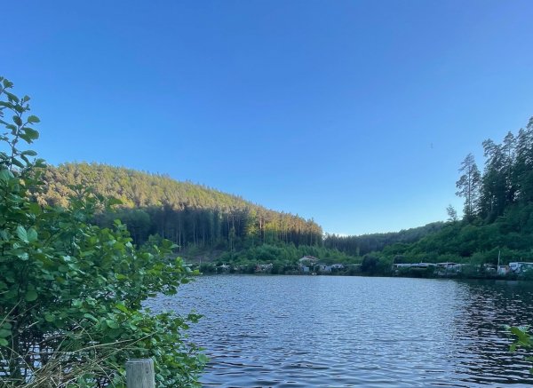 Campingplatz Neudahner Weiher — Photo 5