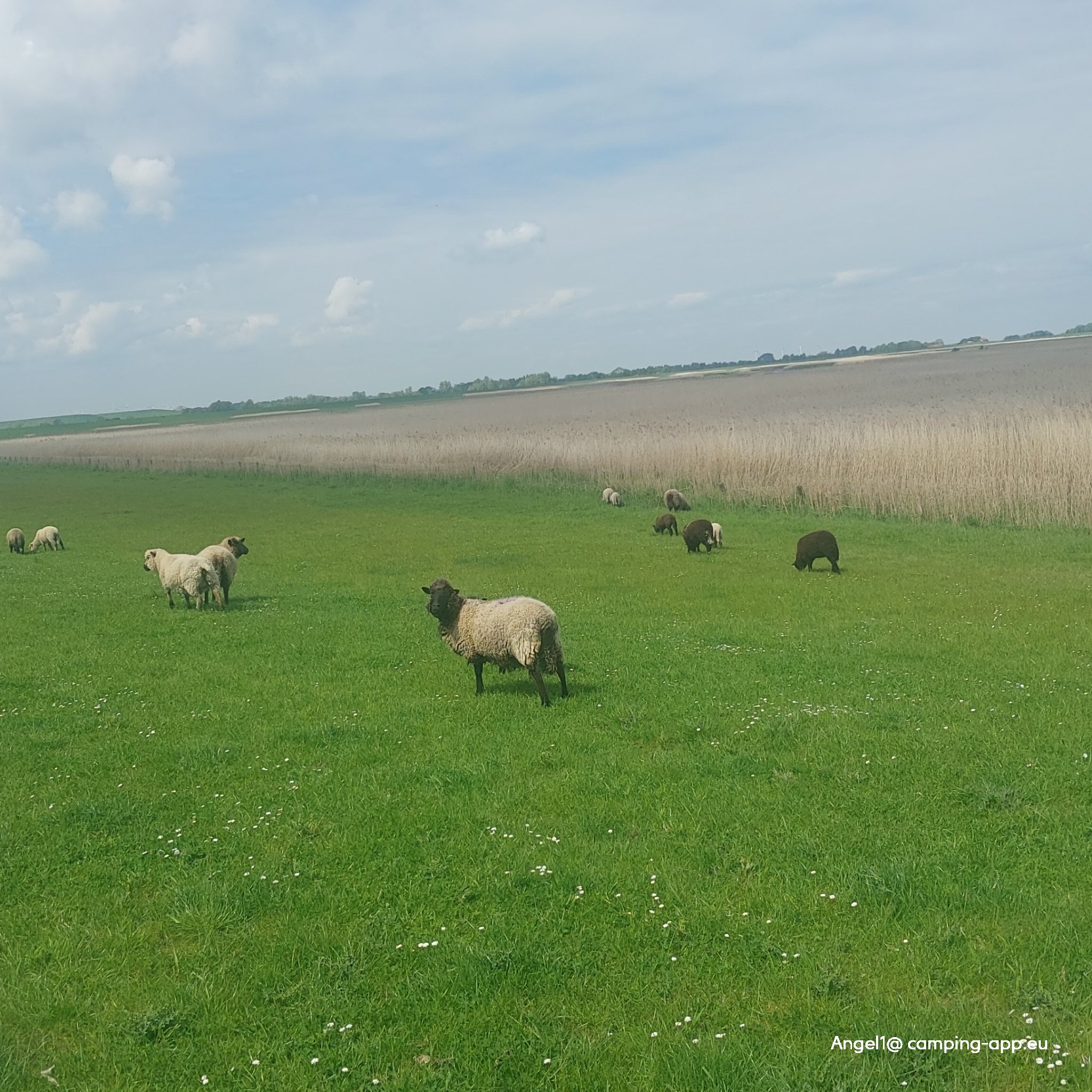 Watterlebnis Strandbad Sehestedt — Zdjęcie 3