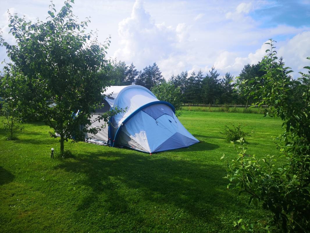 Dom Pod Bocianem - Camping — Campingplatz in Białowieża