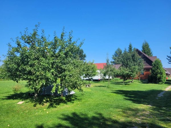 Dom Pod Bocianem - Camping — Photo 2