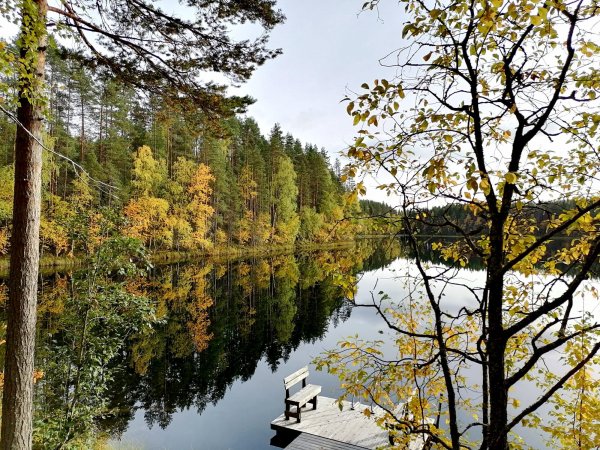 Petkeljärvi National Park — Photo 4