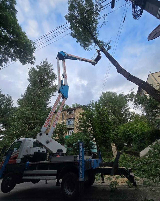 Miniatură